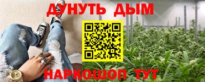 прущие крисы Гусев